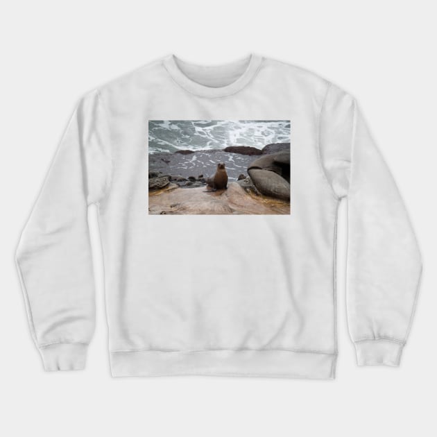 Sea Lion Love Crewneck Sweatshirt by Jacquelie